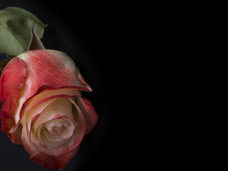 Similar image 22132246