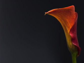 Similar image 22132247