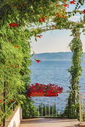 Similar image 22132359