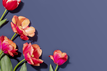 Similar image 22132380