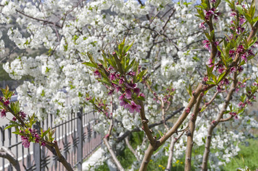 Similar image 22132319