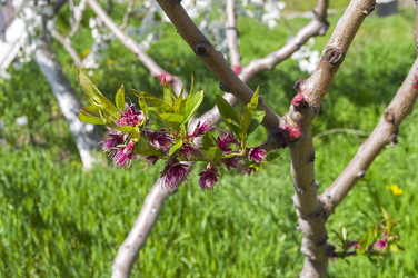 Similar image 22132321