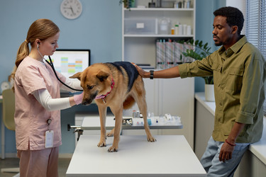 Similar image 22102147