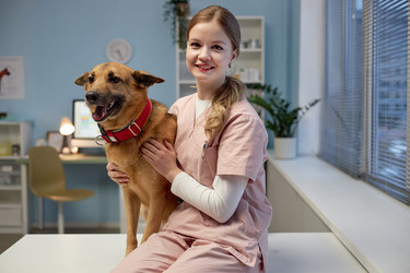 Similar image 22102101