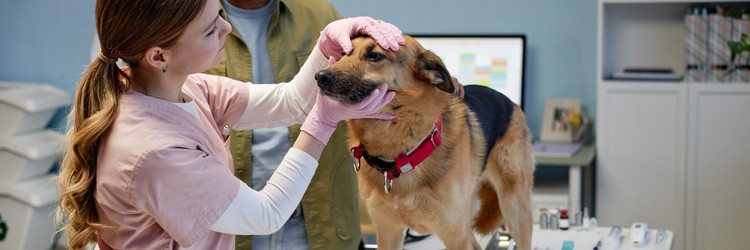 Similar image 22102161