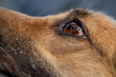 Similar image 22102139