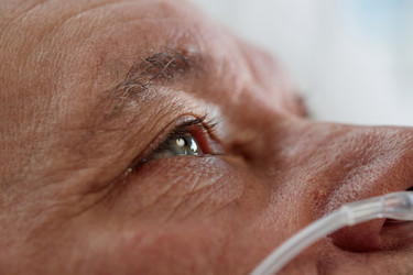 Similar image 22102376