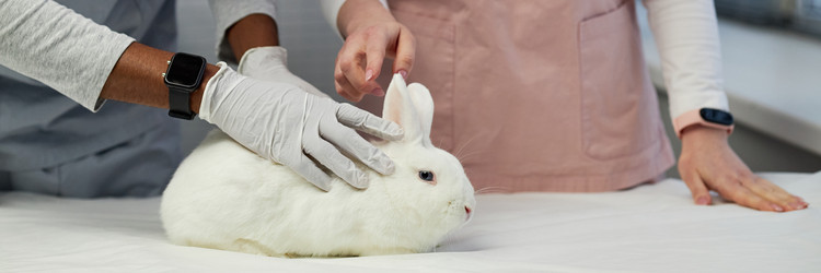 Similar image 22102160