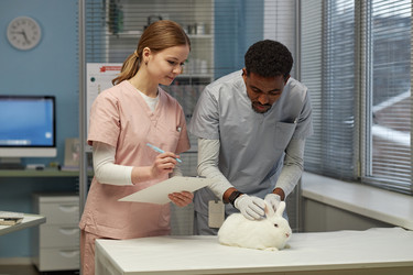 Similar image 22102118