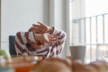 Similar image 22101527