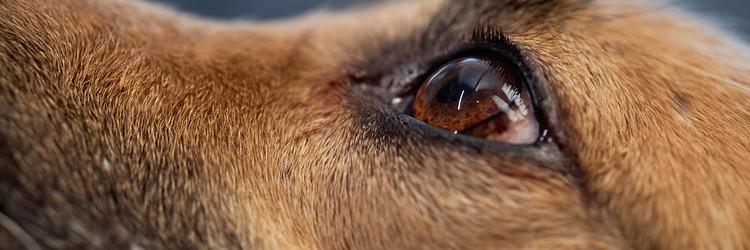 Similar image 22102159