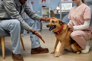 Similar image 22102137