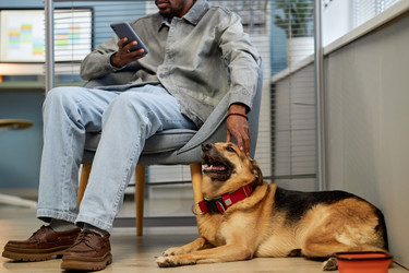 Similar image 22102136