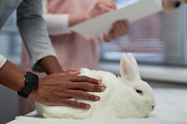 Similar image 22102120