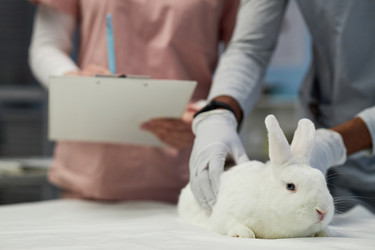 Similar image 22102121