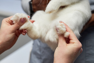 Similar image 22102132