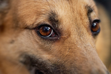 Similar image 22102144