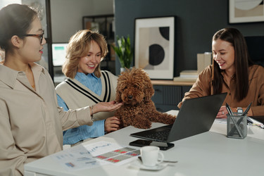 Similar image 22104560