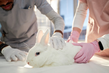 Similar image 22102122