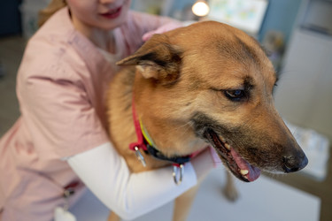 Similar image 22102156