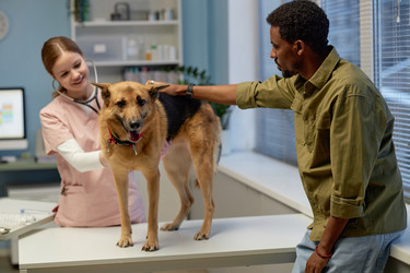 Similar image 22102092