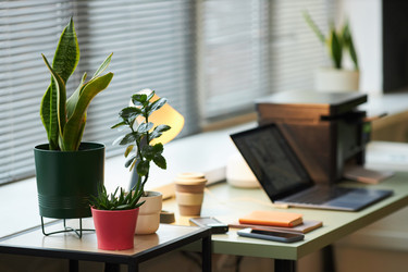 Similar image 22104744