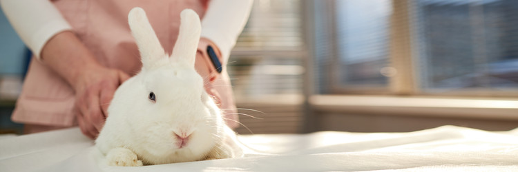 Similar image 22102162