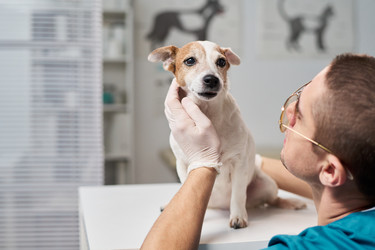 Similar image 22144995