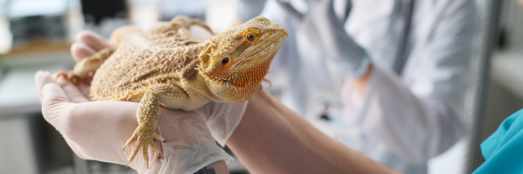 Similar image 22145012