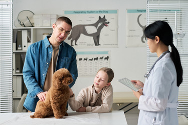 Similar image 22145035