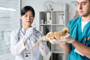 Similar image 22144994