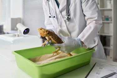 Similar image 22144951