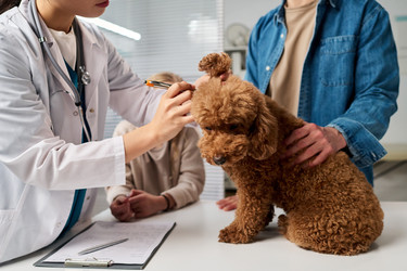 Similar image 22144955