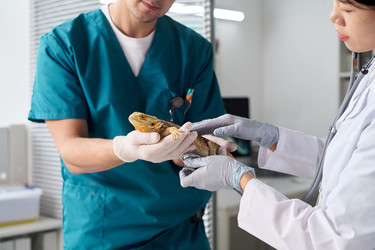 Similar image 22144974