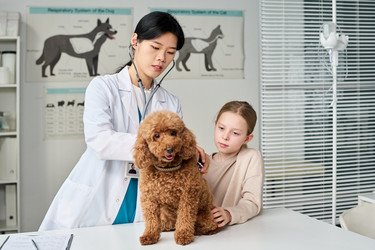 Similar image 22145045