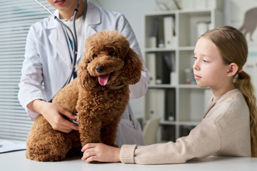 Similar image 22145044