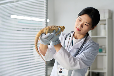 Similar image 22144961