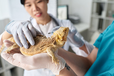 Similar image 22144983