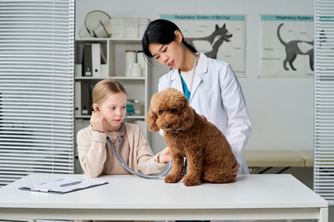 Similar image 22145043