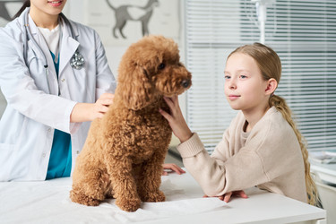 Similar image 22144926