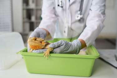 Similar image 22144949