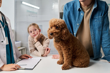 Similar image 22144948