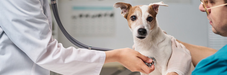 Similar image 22145029