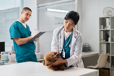 Similar image 22144988