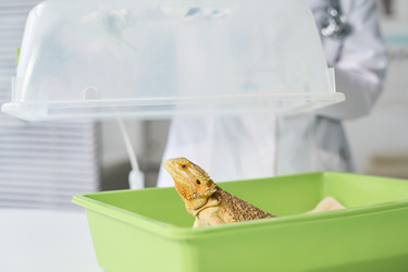 Similar image 22144941