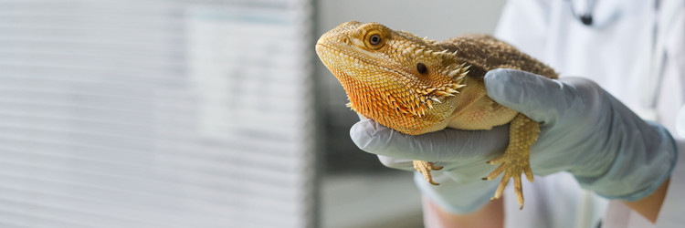 Similar image 22145006