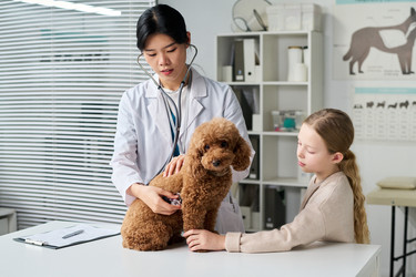 Similar image 22145039