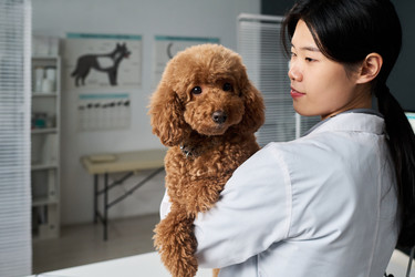 Similar image 22144962