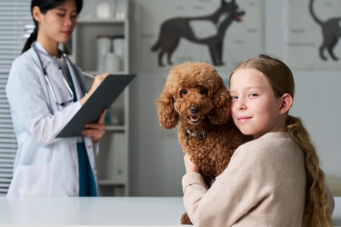 Similar image 22144936