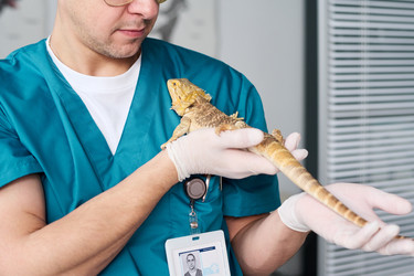 Similar image 22145003